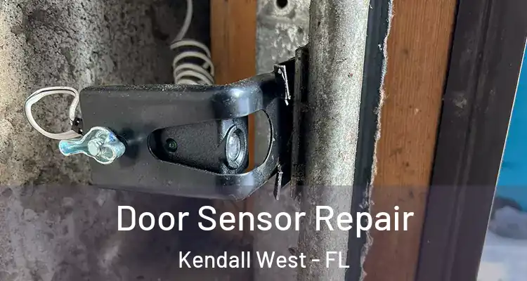  Door Sensor Repair Kendall West - FL