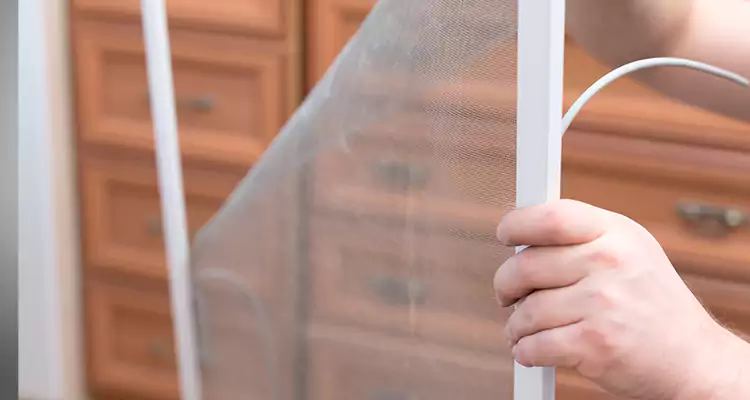 Privacy Mesh Screen Door Installation in Kendall West, FL