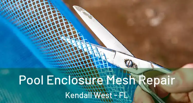  Pool Enclosure Mesh Repair Kendall West - FL