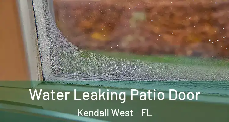  Water Leaking Patio Door Kendall West - FL